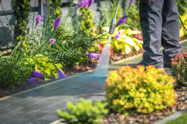 Best Sidewalk and Walkway Cleaning  in Cadillac, MI